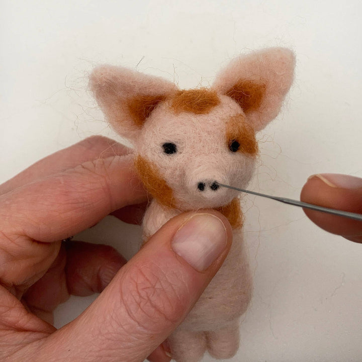Needle Felting Kit, Pigs In Blankets