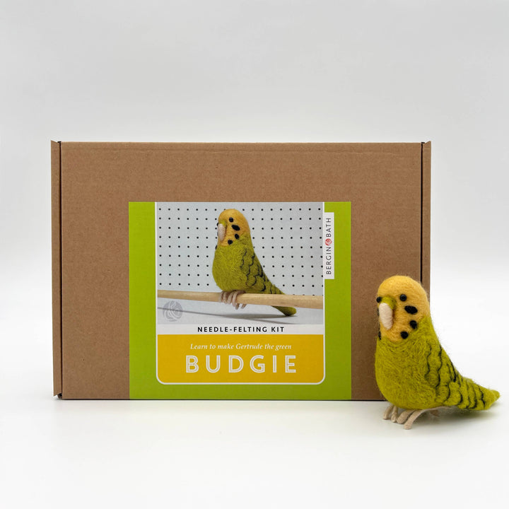 Needle Felting Kit Budgie Green. Make a budgerigar