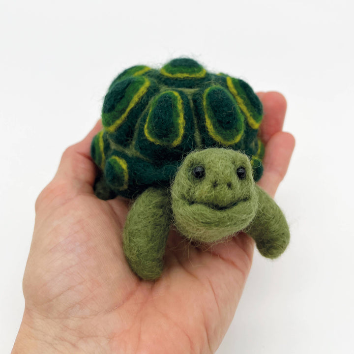 Needle felting kit - Tortoise