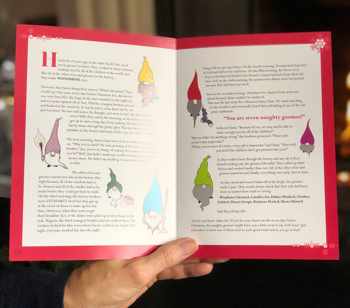 Premium needle felting kit - SEVEN Naughty Gnomes.