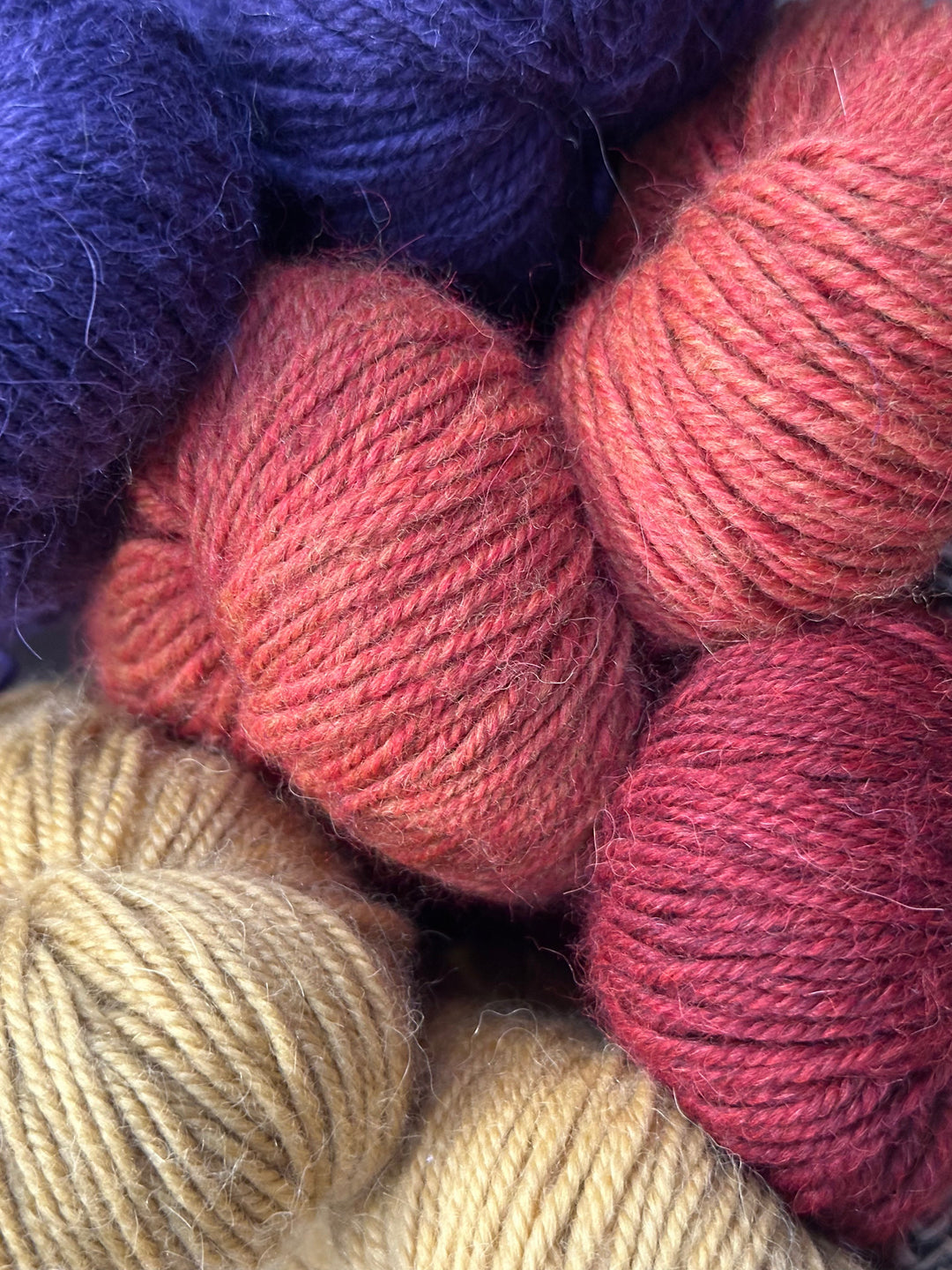 Alpaca