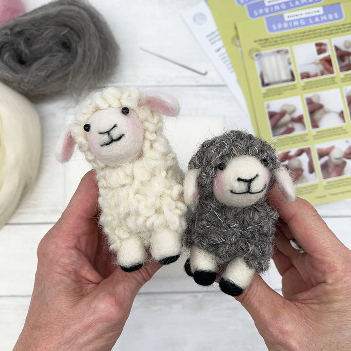 Beginner Needle Felting Kit, Spring Lambs