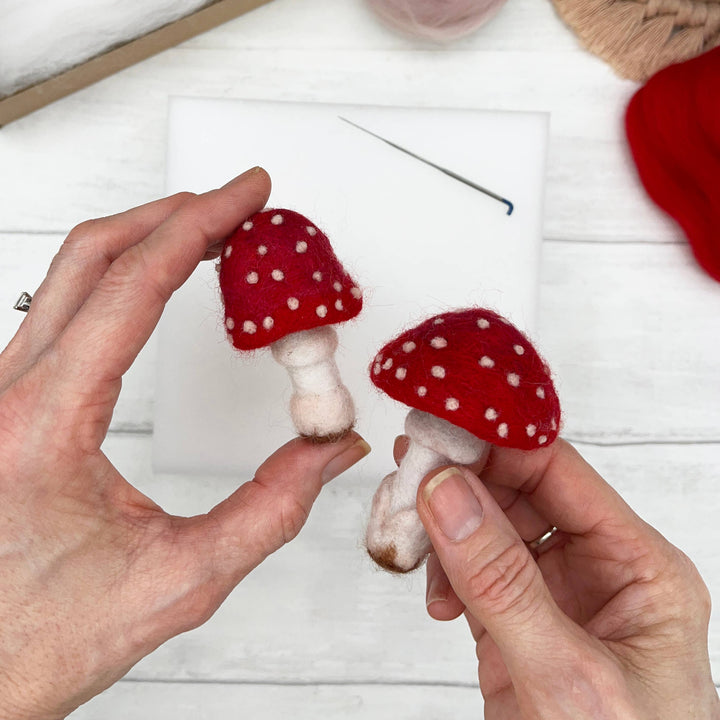 Needle Felting Kit, Toadstools