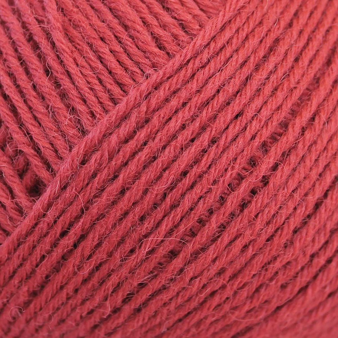 Skipper 5-Ply