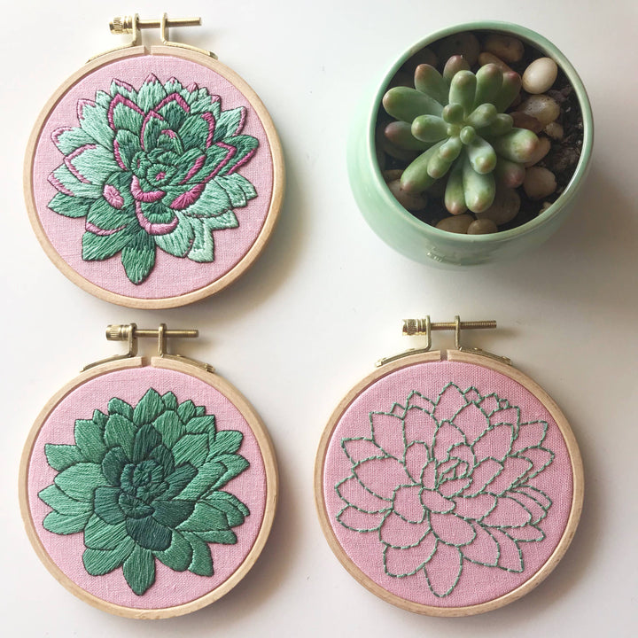 Sweet Succulent DIY Embroidery Kit, Choose Your Skill Level