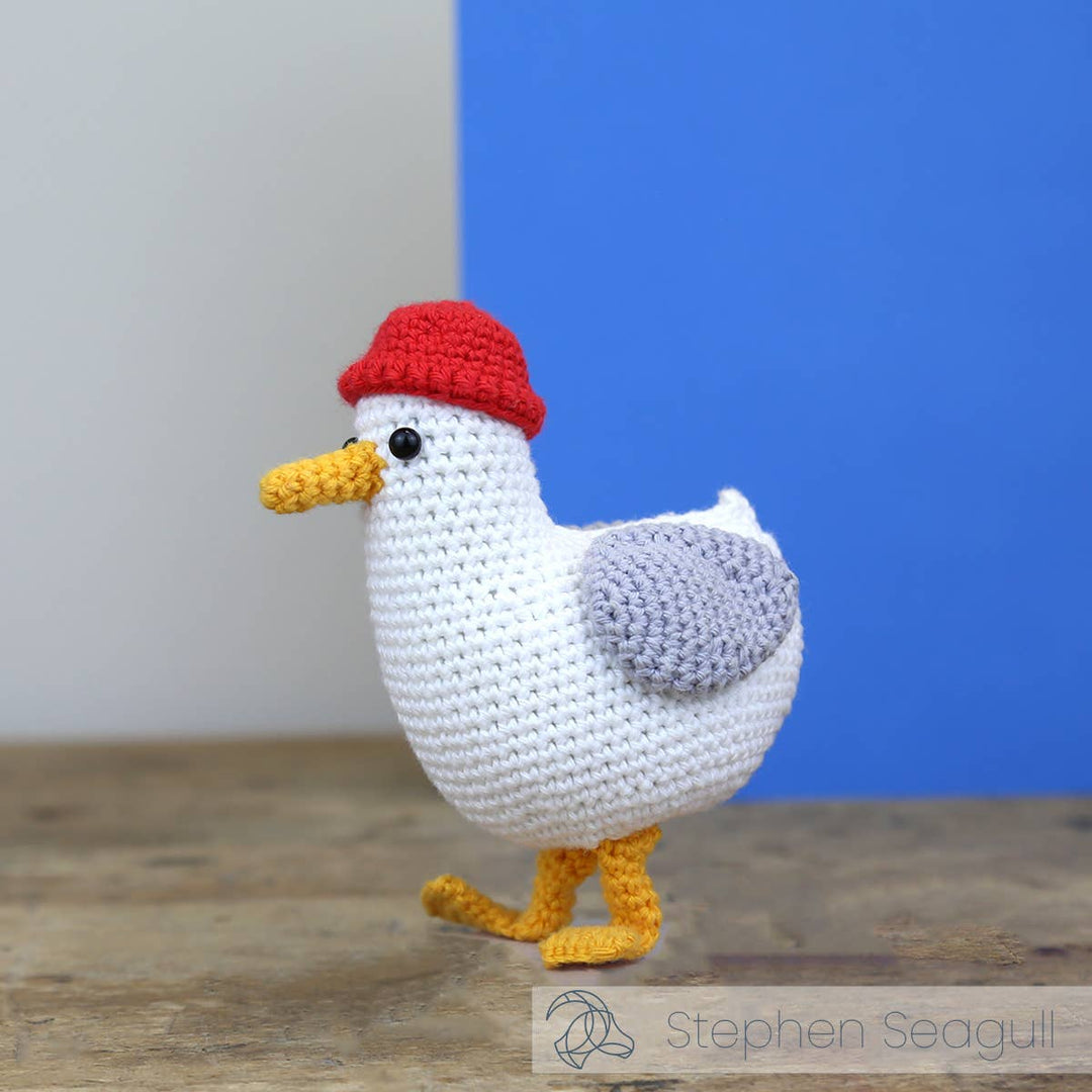 DIY Crochet Kit