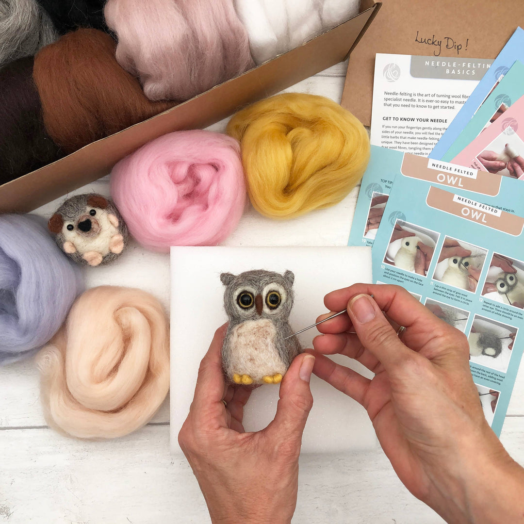 Needle Felting Bumper Kit - Creatures. A premium starter set