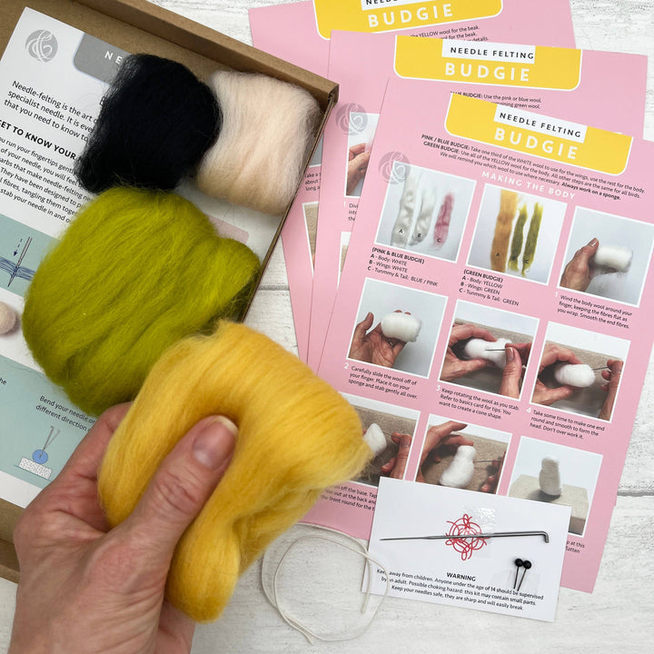 Needle Felting Kit Budgie Green. Make a budgerigar