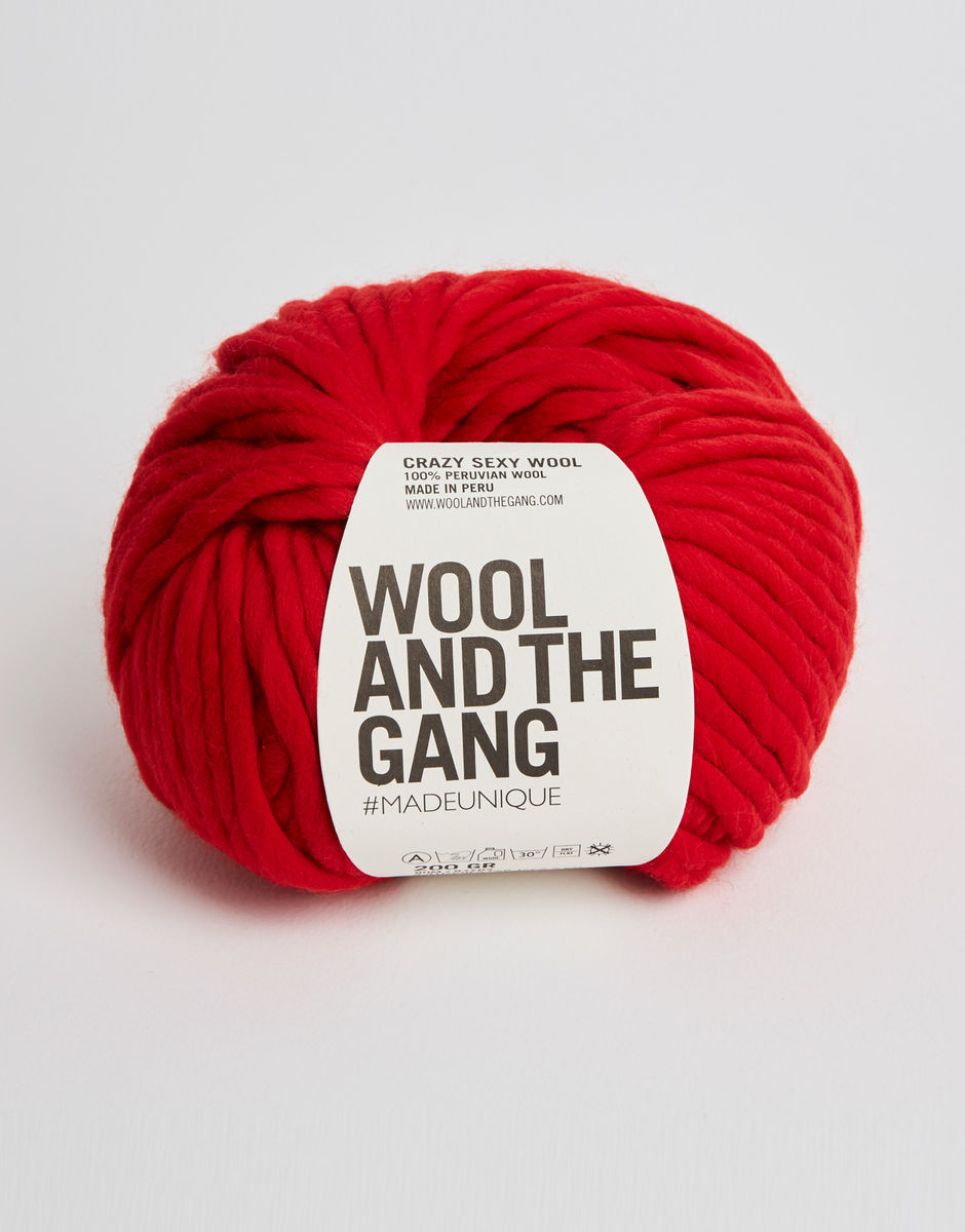 Wool and the Gang Crazy Sexy Wool