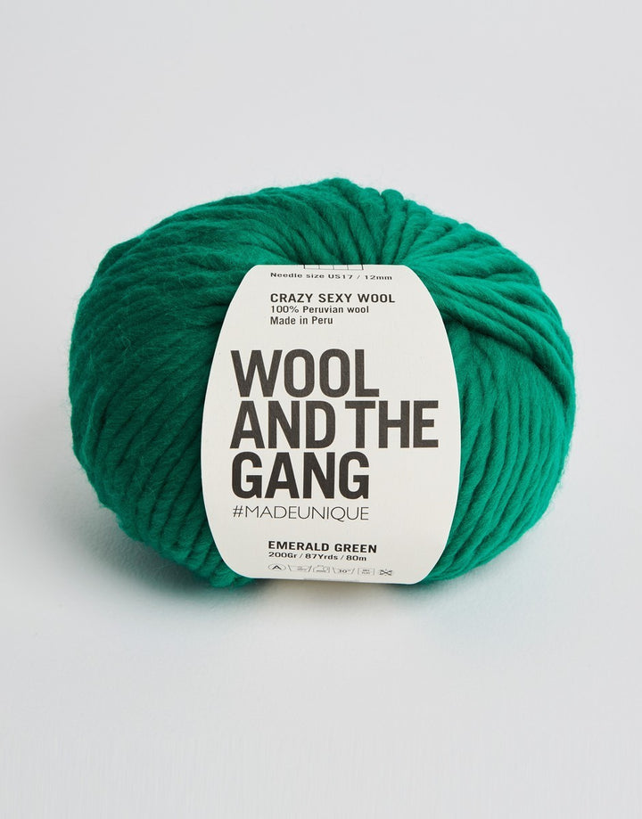 Wool and the Gang Crazy Sexy Wool