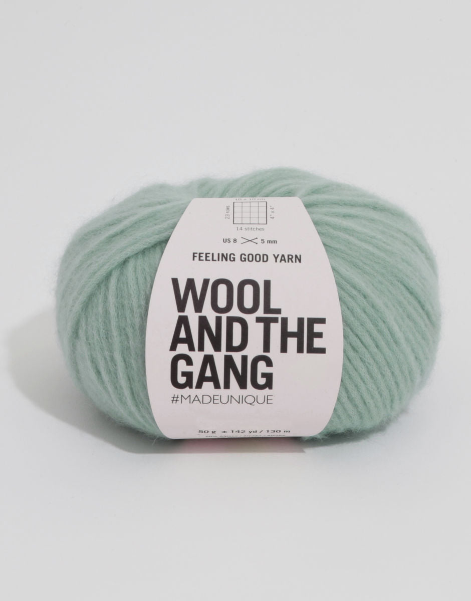 Wool and the Gang Feeling Good Yarn