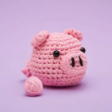 Woobles Beginner Crochet Kit