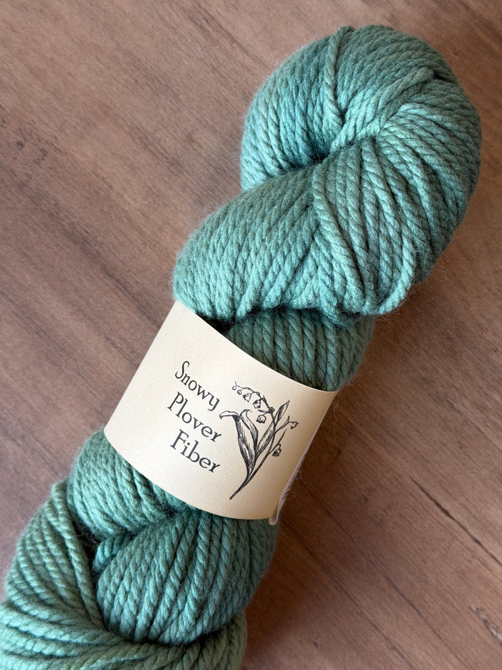 Snowy Plover Fiber 80% SW Merino / 20% Mulberry Silk - Bulky 3-Ply