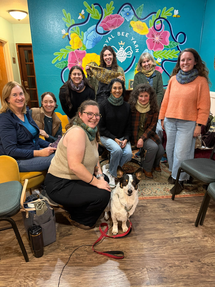 Intro to Knitting Class + Kit