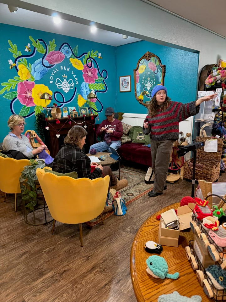 Intro to Knitting Class + Kit