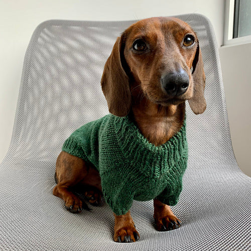 Knit a Dog Sweater | 3-Week Class | Wednesdays (starting 10/15) 6:00pm - 7:00pm