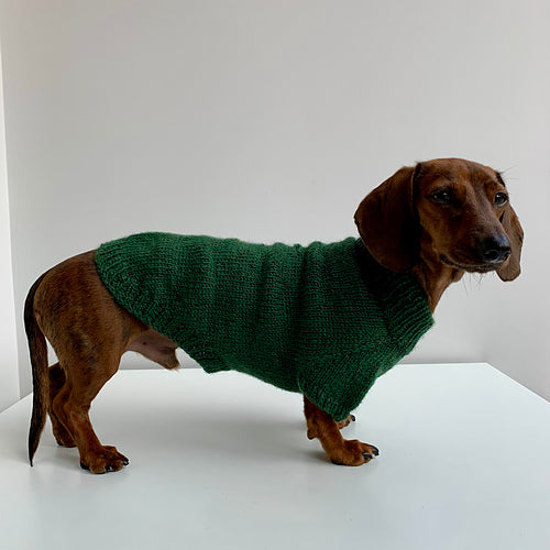 Knit a Dog Sweater | 3-Week Class | Wednesdays (starting 10/15) 6:00pm - 7:00pm