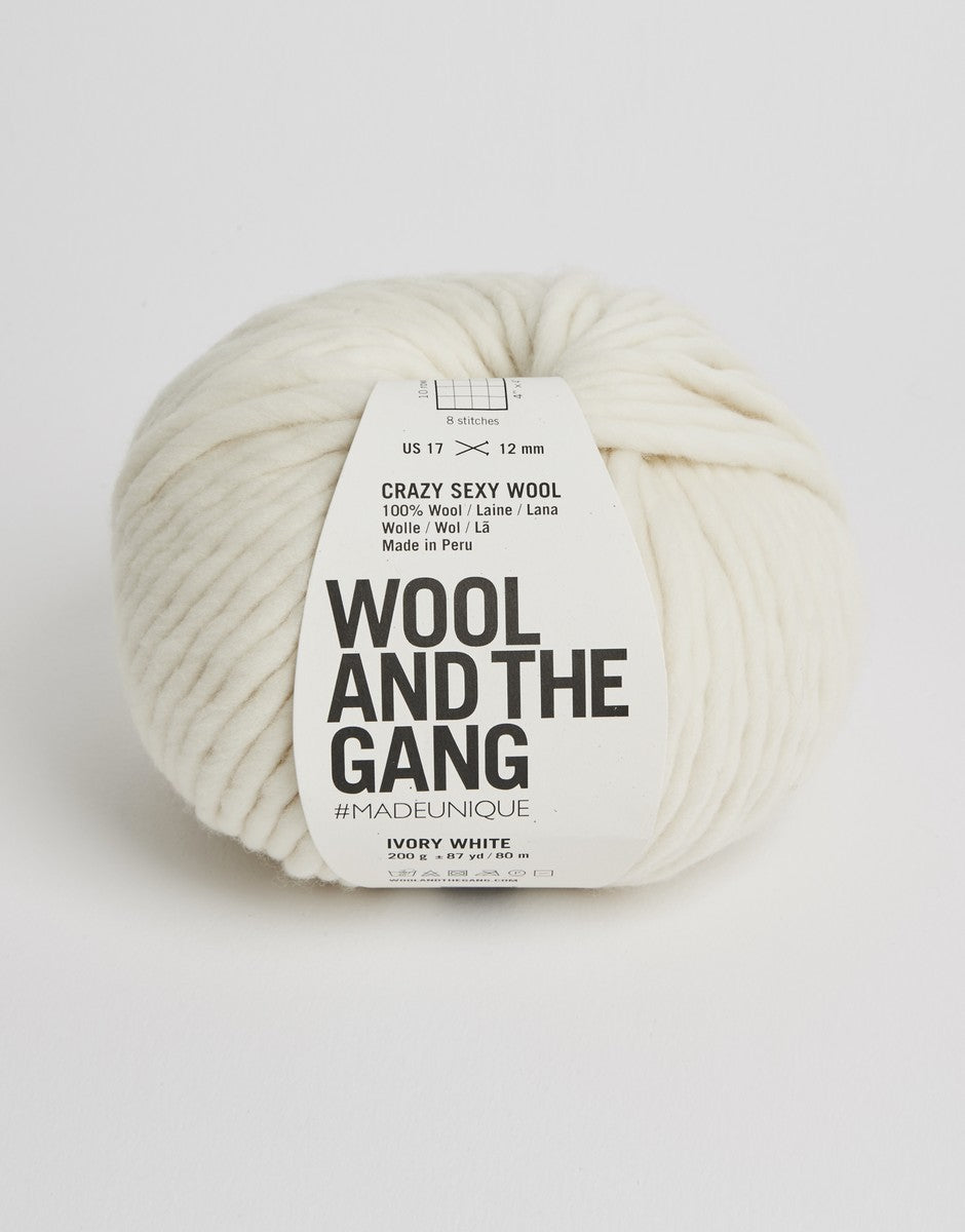 Wool and the Gang Crazy Sexy Wool