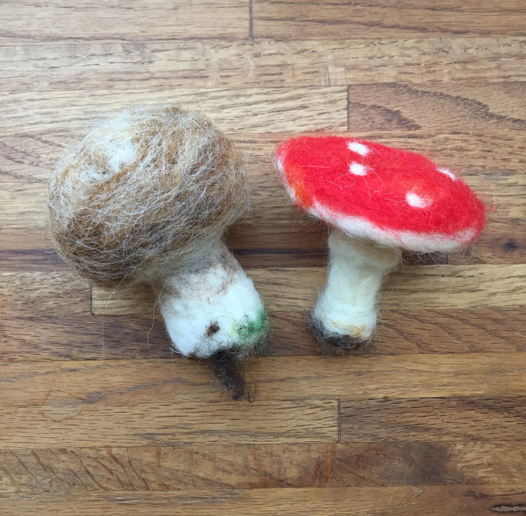 Needle Felted Soft Sculptures| November (11/1) 10am - 12pm