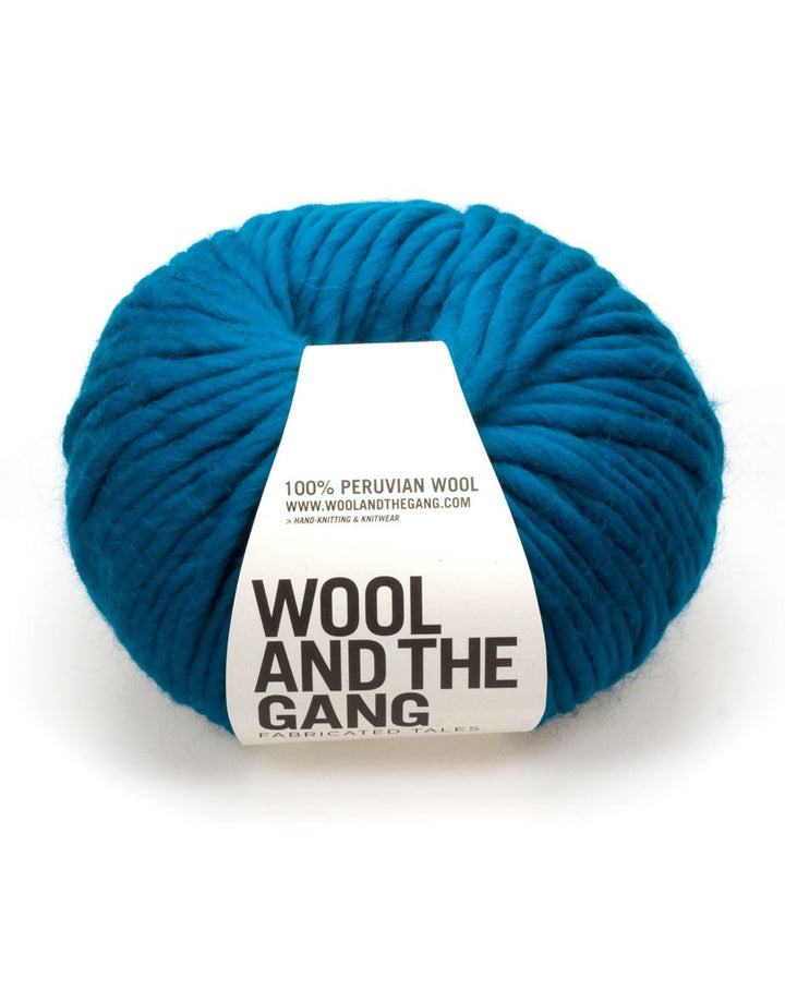Wool and the Gang Crazy Sexy Wool