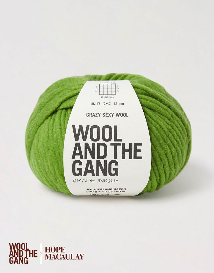 Wool and the Gang Crazy Sexy Wool
