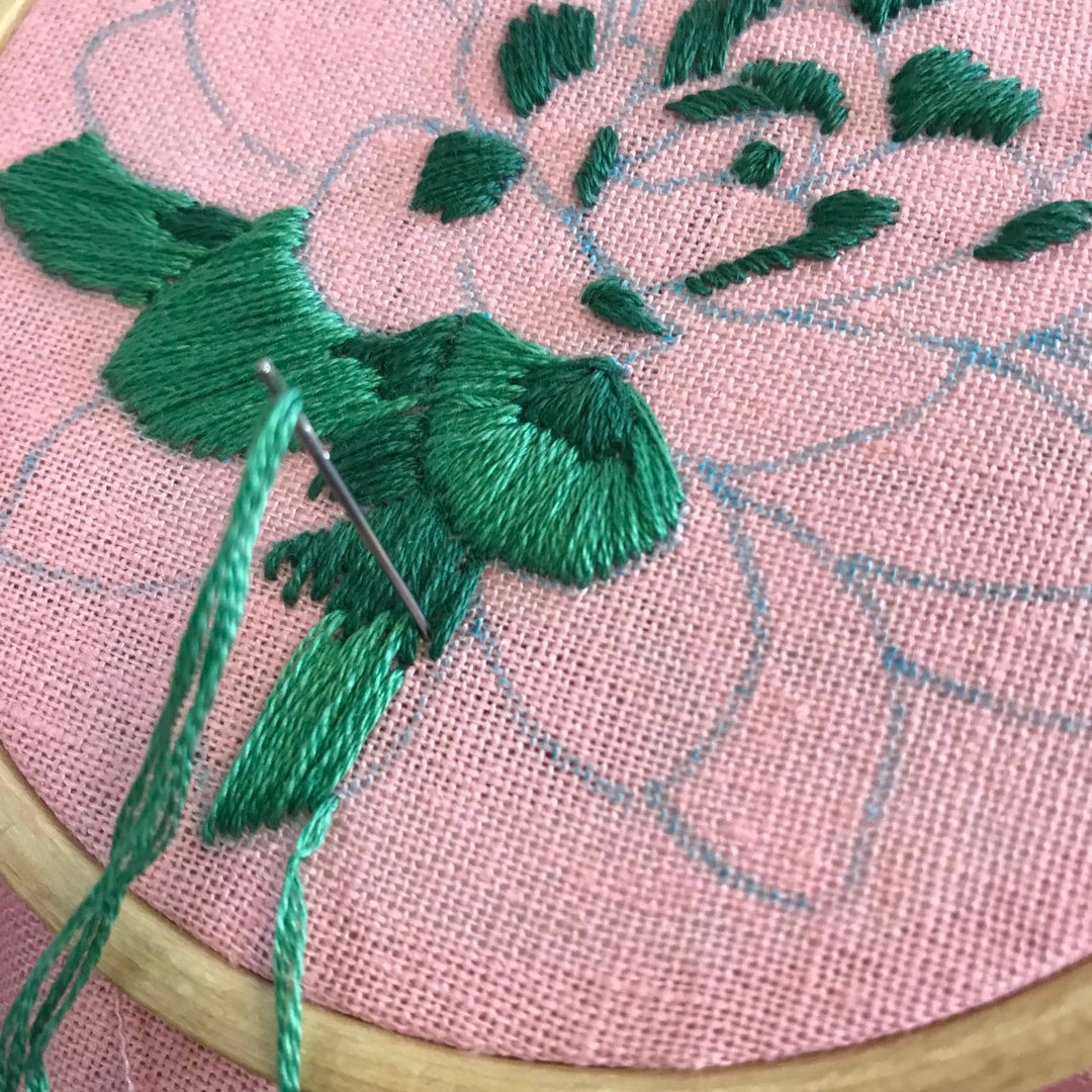Sweet Succulent DIY Embroidery Kit, Choose Your Skill Level