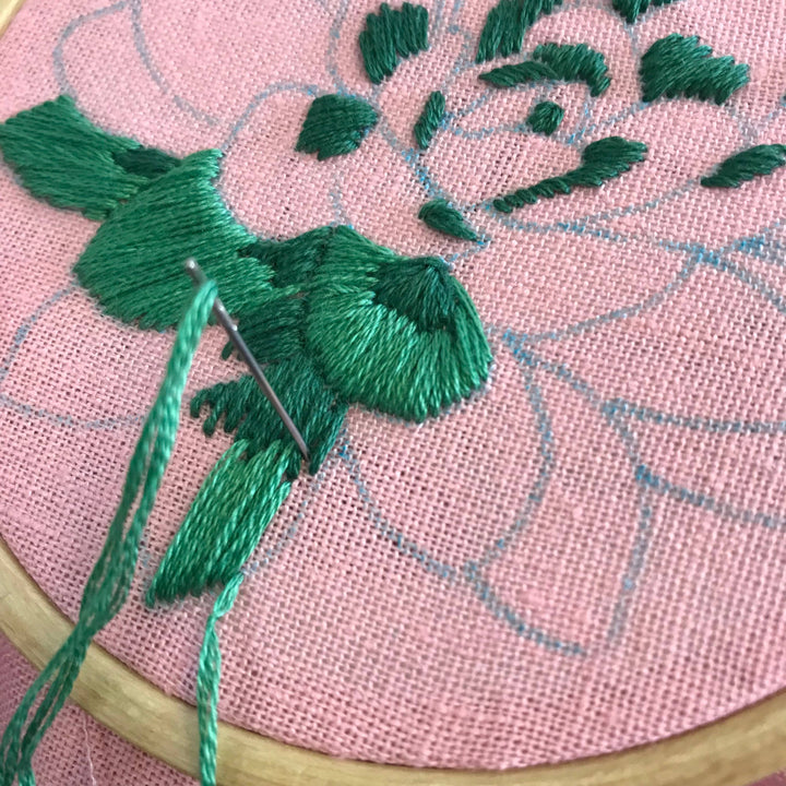 Sweet Succulent DIY Embroidery Kit, Choose Your Skill Level