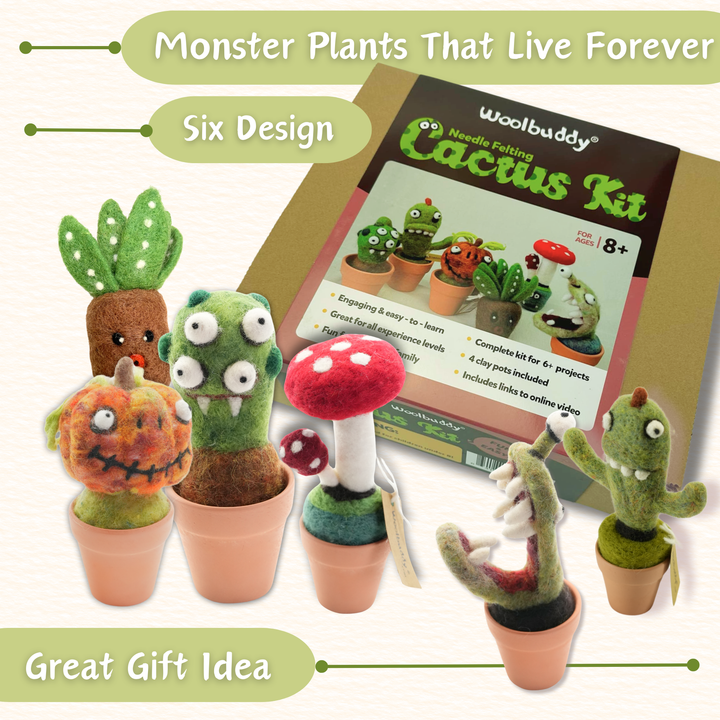 Needle Felting Cactus Kit