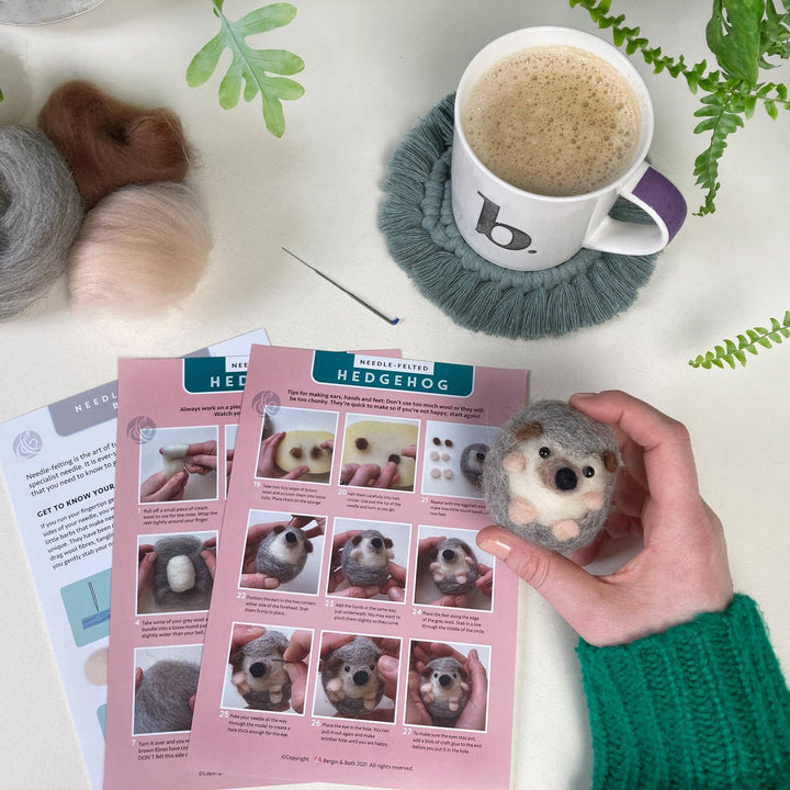 Needle Felting Kit, Hedgehog, Beginners, Creative Gift Idea