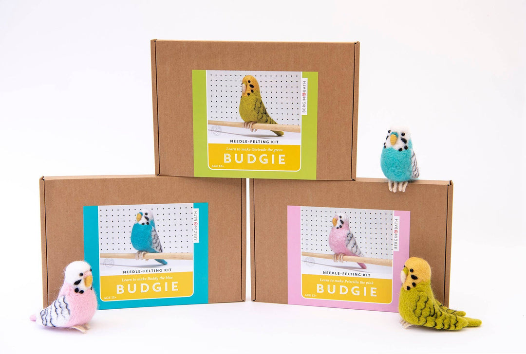 Needle Felting Kit Budgie. Make A Blue Budgerigar From Wool