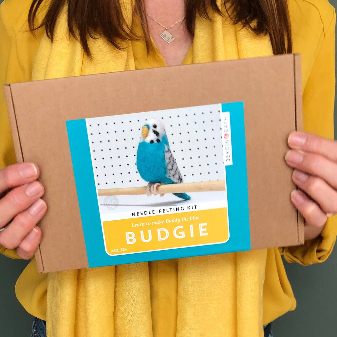 Needle Felting Kit Budgie. Make A Blue Budgerigar From Wool