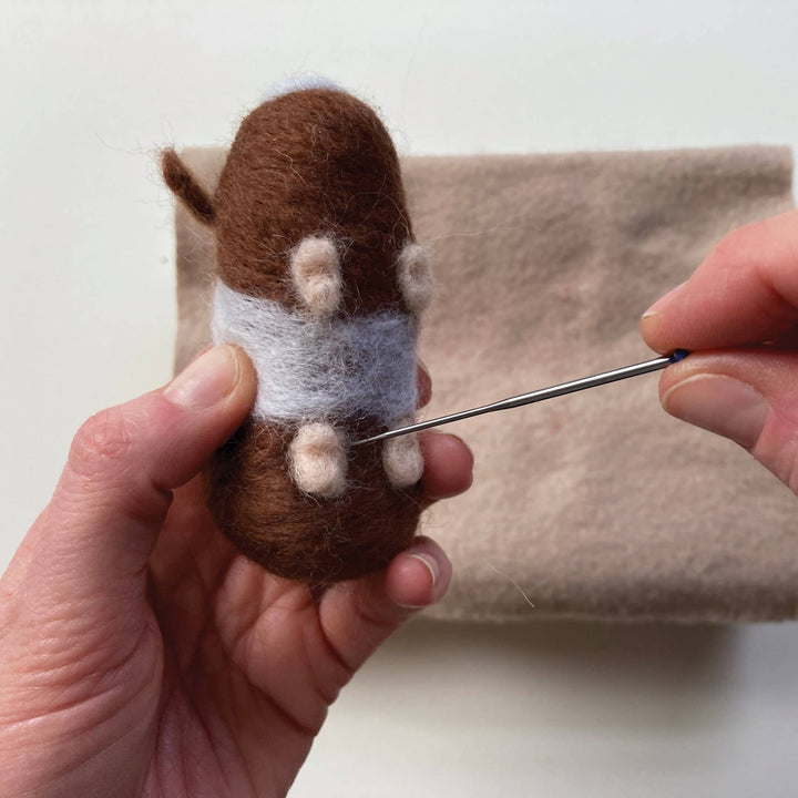 Needle felting kit - Guinea pigs. Craft kit for adults