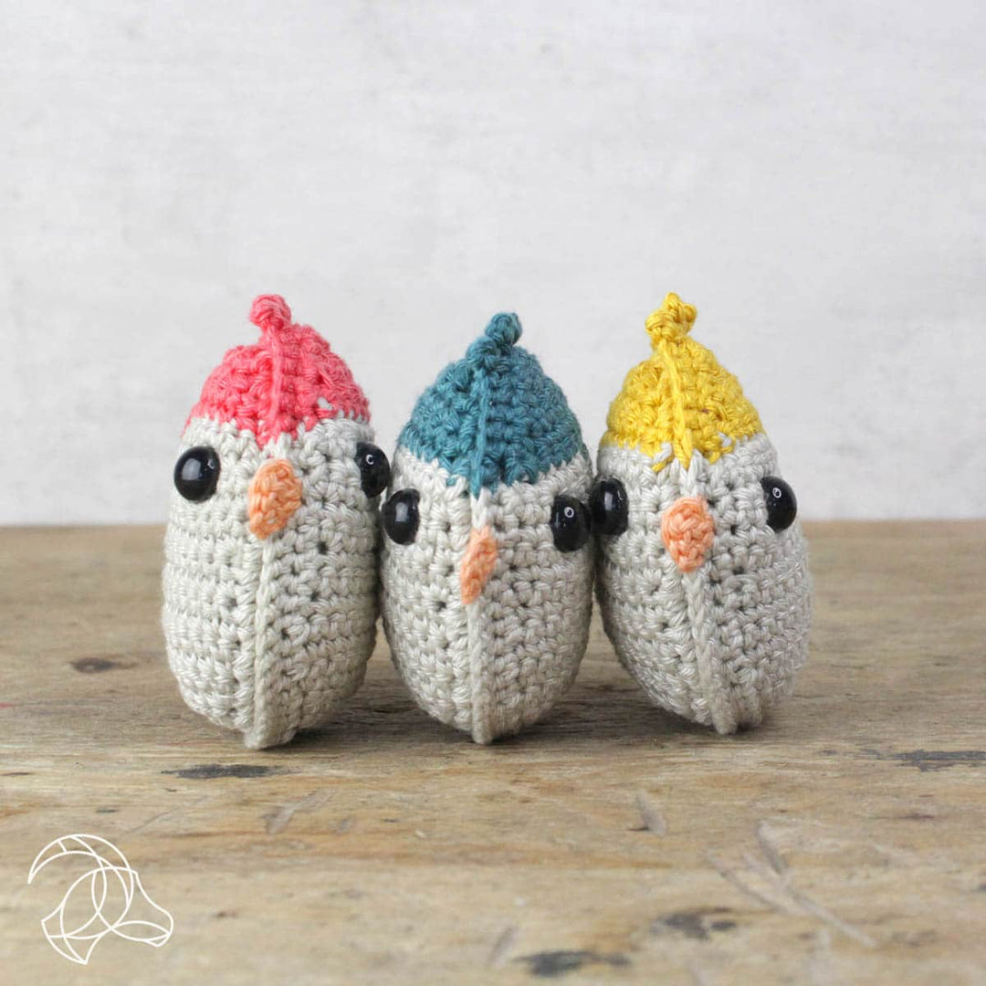 DIY Crochet Kit - Red Bird