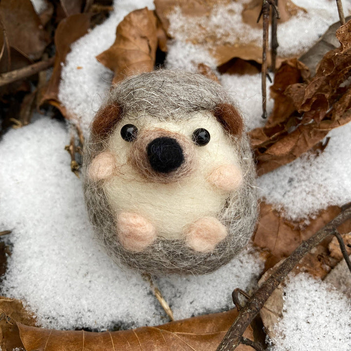 Needle Felting Kit, Hedgehog, Beginners, Creative Gift Idea