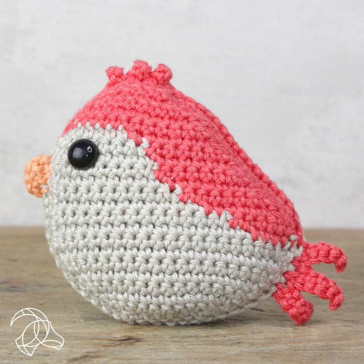 DIY Crochet Kit - Red Bird