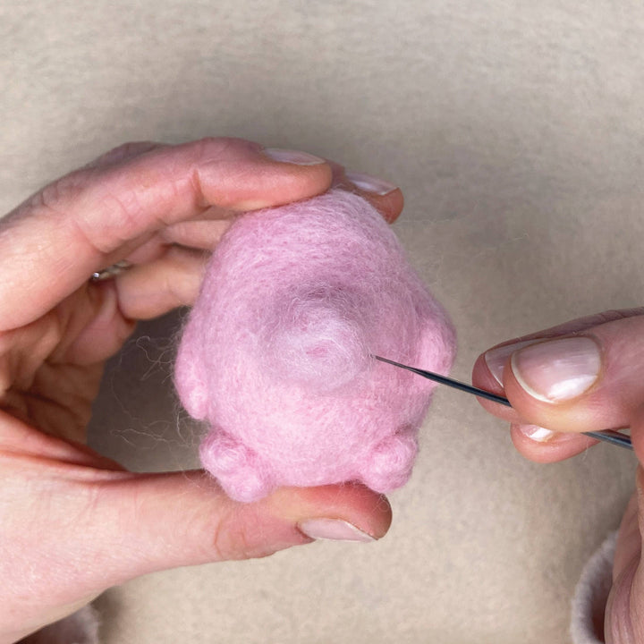 Needle Felting Kit - Mini Pets 1. Make THREE felt animals.