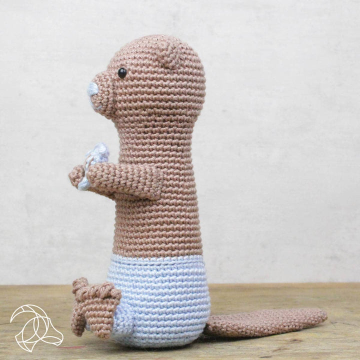 DIY Crochet Kit