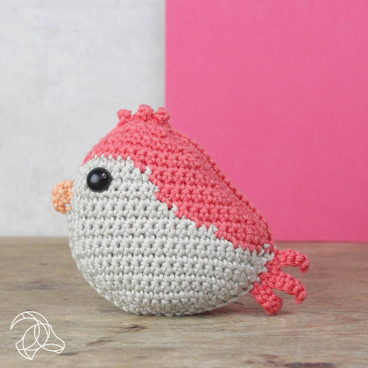 DIY Crochet Kit - Red Bird