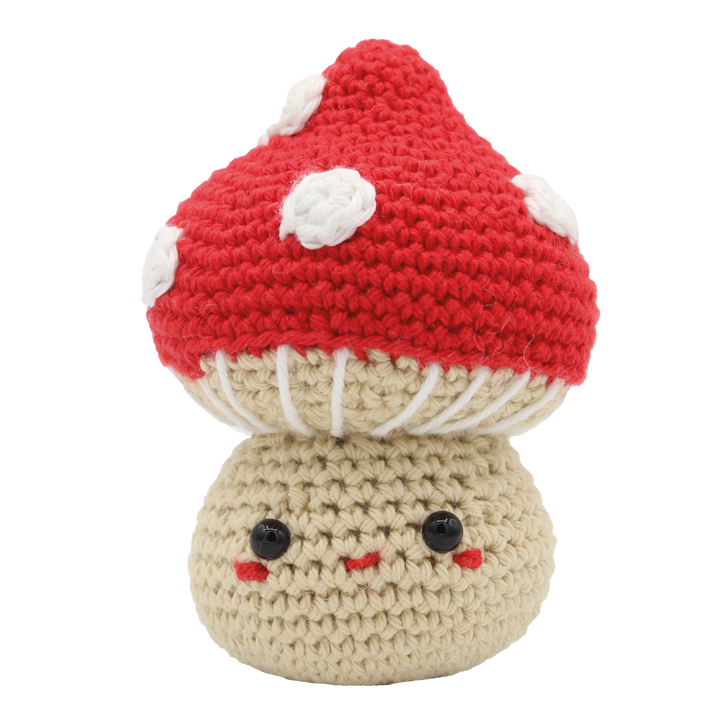 DIY Crochet Kit (Medium)