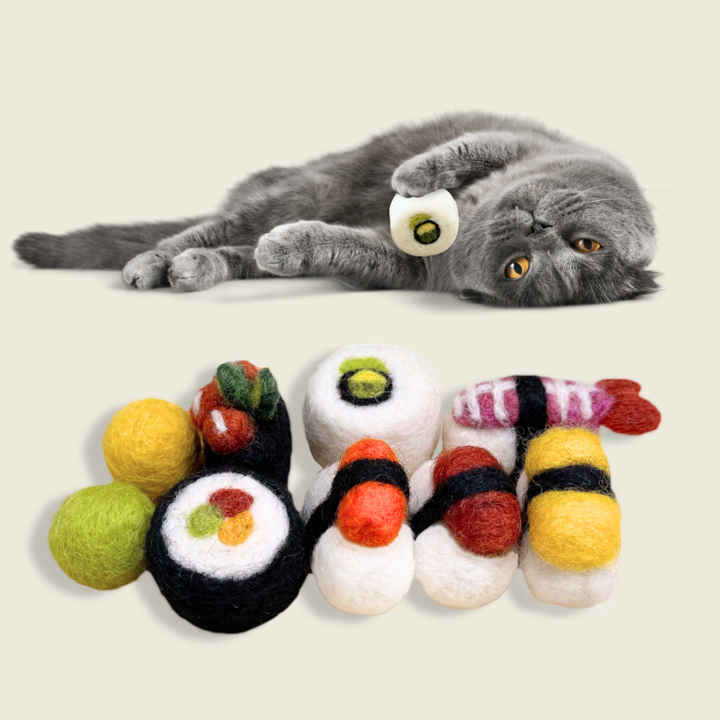 Handmade Wool Needle Felted Cat Sushi Toy